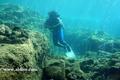 scuba diving photo