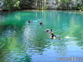 scuba diving photo
