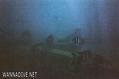 scuba diving photo