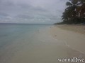 scuba diving photo