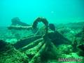 scuba diving photo