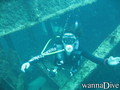 scuba diving photo