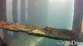 scuba diving photo