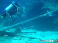 scuba diving photo