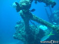 scuba diving photo