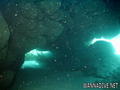 scuba diving photo