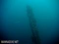 scuba diving photo