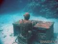 scuba diving photo