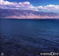scuba diving photo