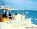 scuba diving photo