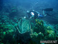scuba diving photo