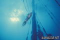 scuba diving photo