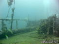 scuba diving photo