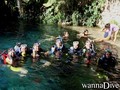 scuba diving photo