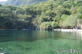 scuba diving photo