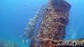 scuba diving photo
