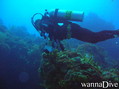 scuba diving photo