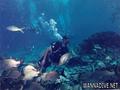 scuba diving photo