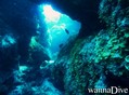 scuba diving photo