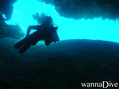 scuba diving photo