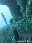 scuba diving photo