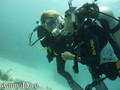 scuba diving photo