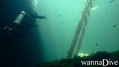 scuba diving photo