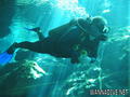 scuba diving photo