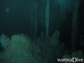 scuba diving photo