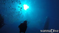 scuba diving photo