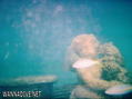 scuba diving photo