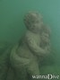 scuba diving photo
