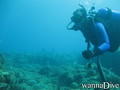 scuba diving photo