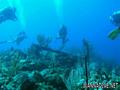 scuba diving photo