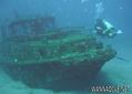 scuba diving photo
