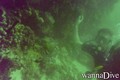 scuba diving photo