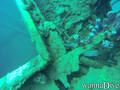 scuba diving photo
