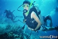 scuba diving photo