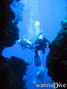 scuba diving photo