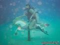 scuba diving photo