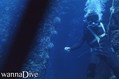 scuba diving photo