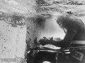 scuba diving photo
