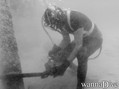 scuba diving photo