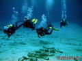 scuba diving photo