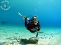 scuba diving photo