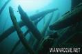 scuba diving photo