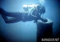 scuba diving photo