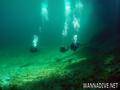 scuba diving photo