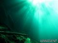 scuba diving photo