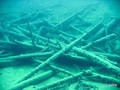scuba diving photo